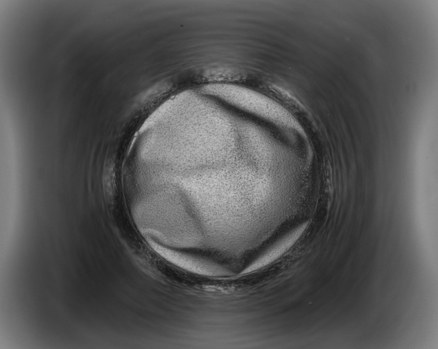 X0000086260690200704191904