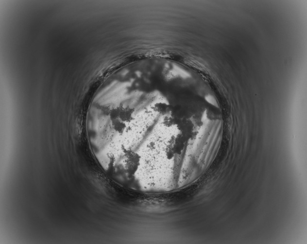 X0000086260691200704191904