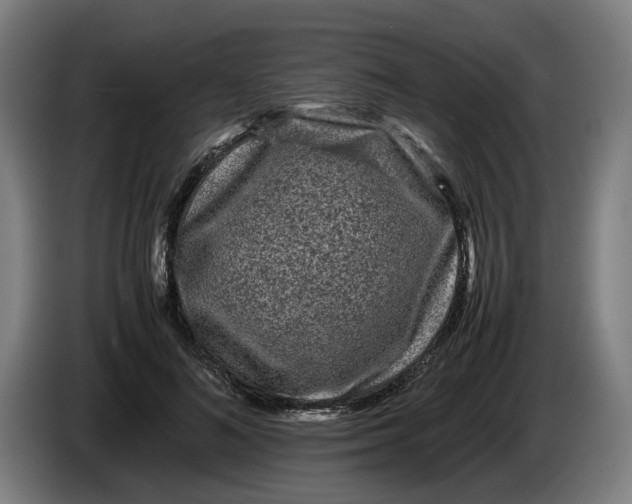 X0000086260692200704191904