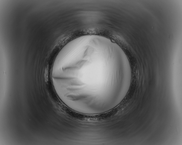 X0000086260694200704191904