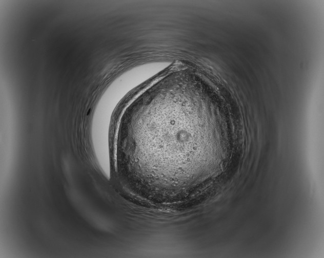 X0000086260695200704191904