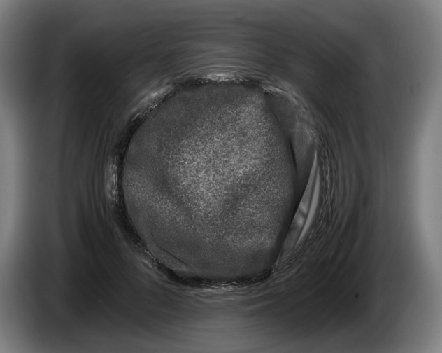 X0000086260696200704191904