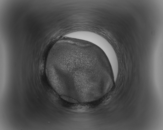 X0000086260697200704191904