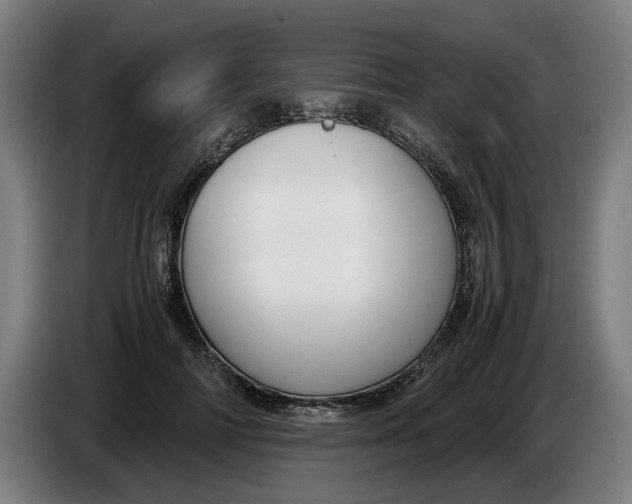 X0000086260698200704191904