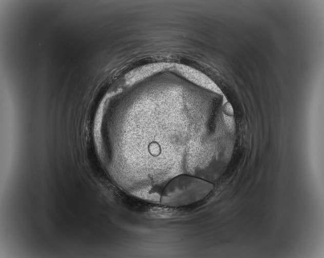X0000086260699200704191904