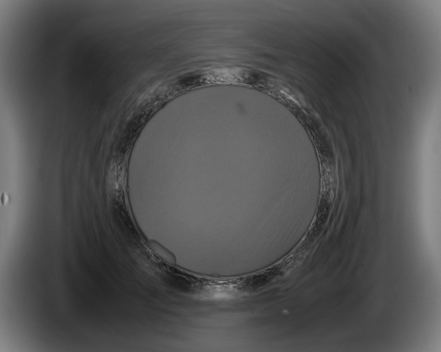 X0000086260701200704191904