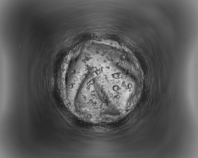 X0000086260703200704191904