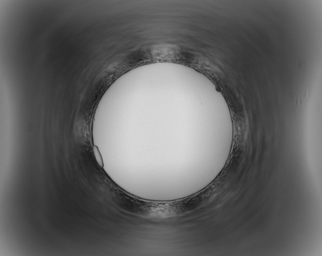 X0000086260705200704191904