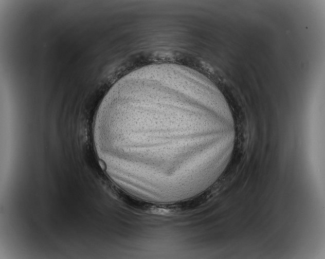 X0000086260706200704191904