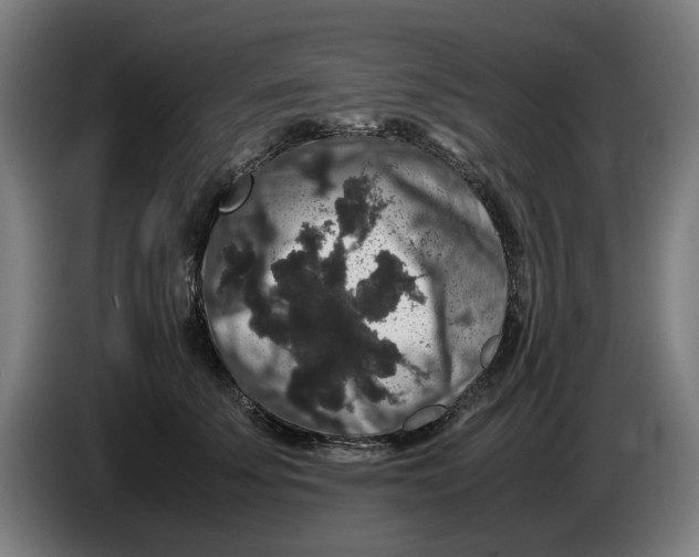X0000086260707200704191904