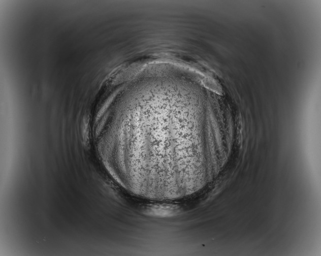 X0000086260708200704191904