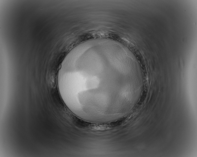 X0000086260709200704191904