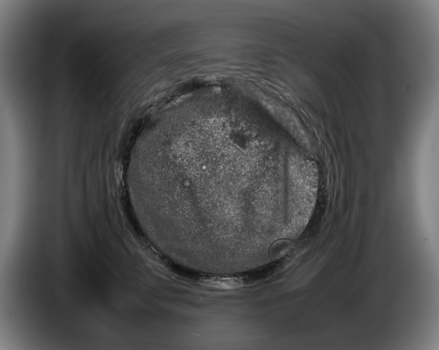 X0000086260711200704191904