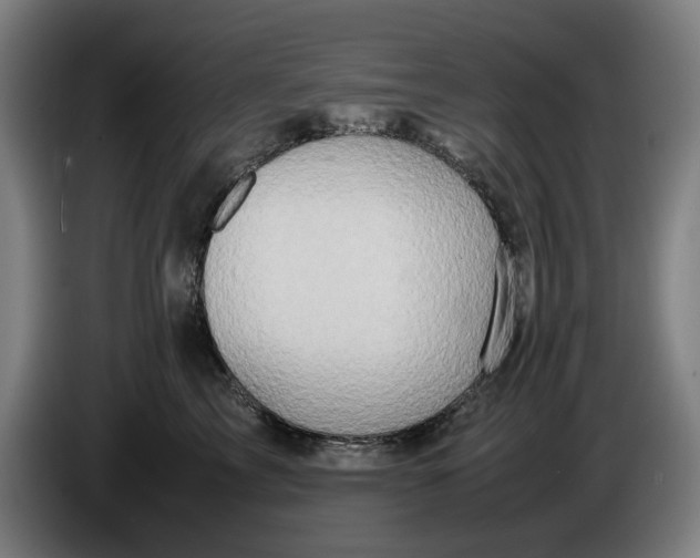 X0000086260713200704191904