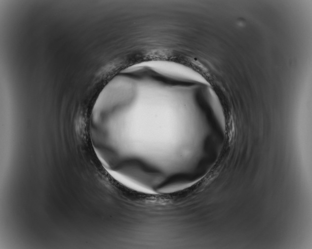X0000086260714200704191904