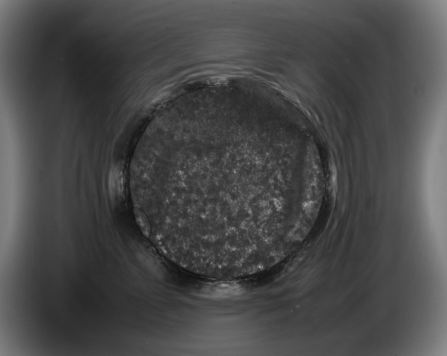 X0000086260715200704191904