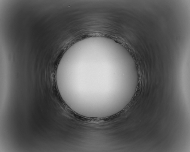X0000086260716200704191904