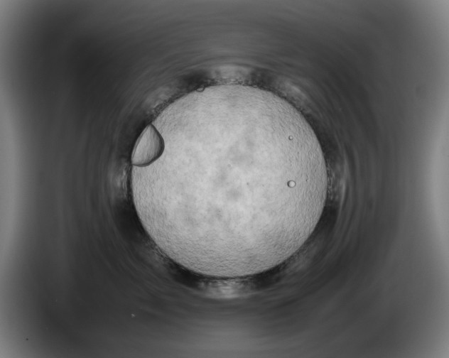 X0000086260717200704191903