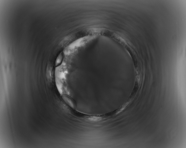 X0000086260718200704191903