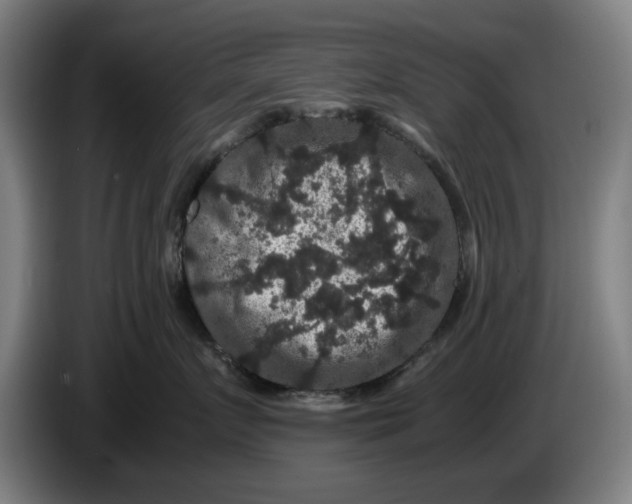 X0000086260719200704191903