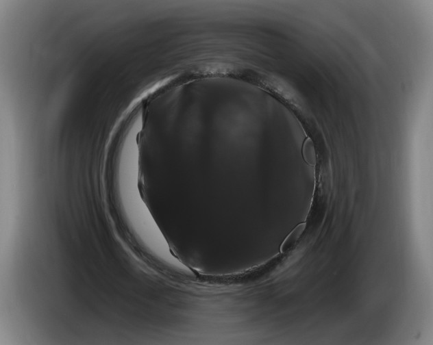 X0000086260722200704191903