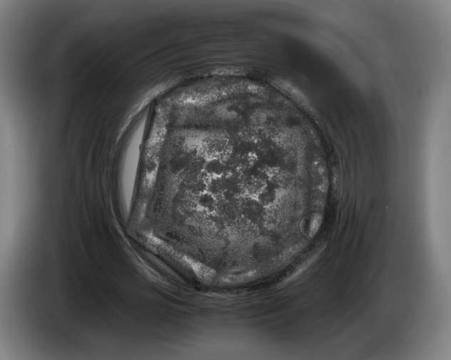 X0000086260725200704191903