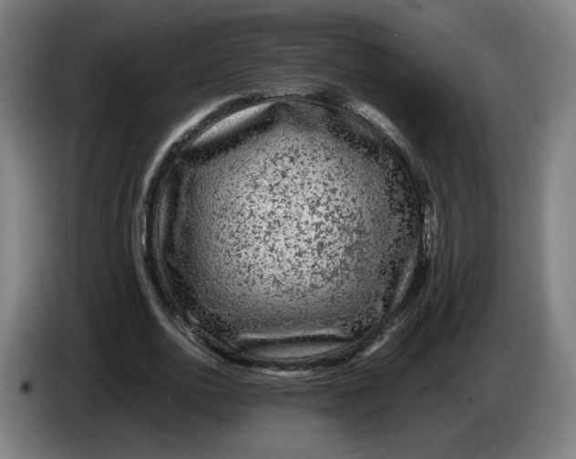 X0000086260726200704191903
