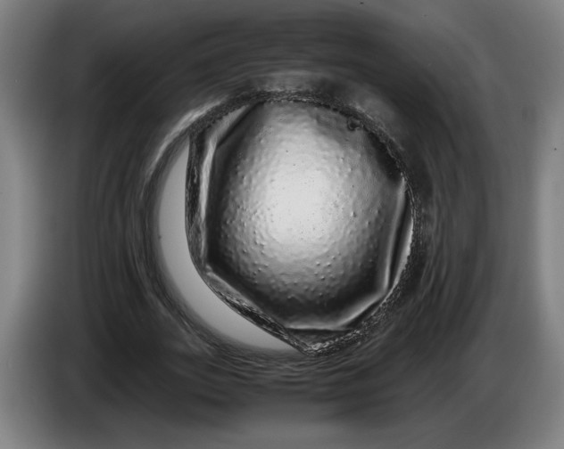 X0000086260727200704191903
