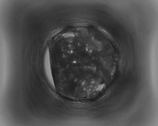 X0000086260729200704191903