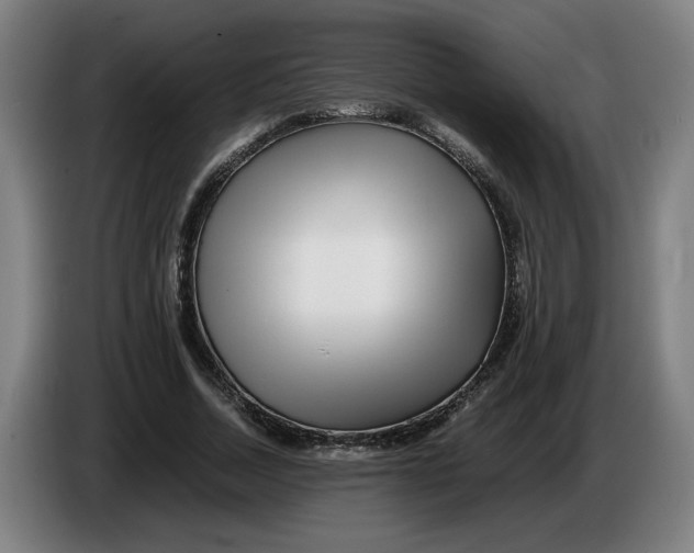 X0000086260730200704191903