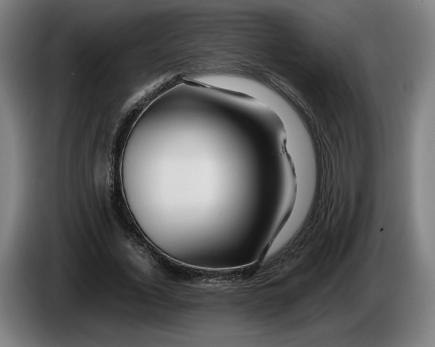 X0000086260732200704191903