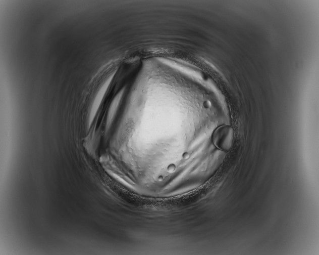 X0000086260733200704191903