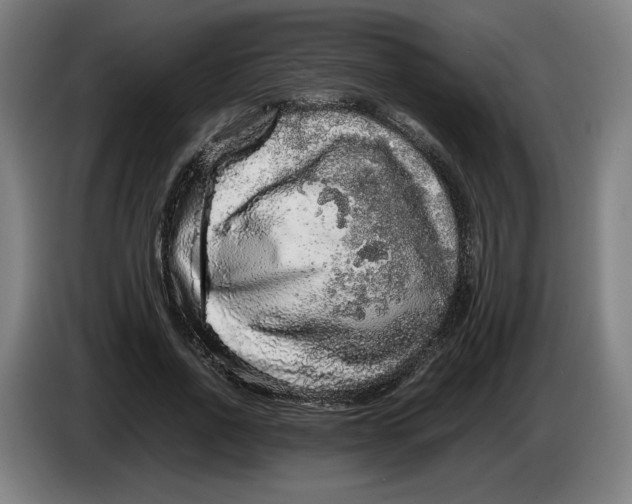 X0000086260734200704191903