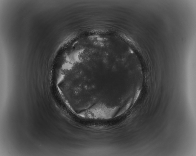 X0000086260735200704191903