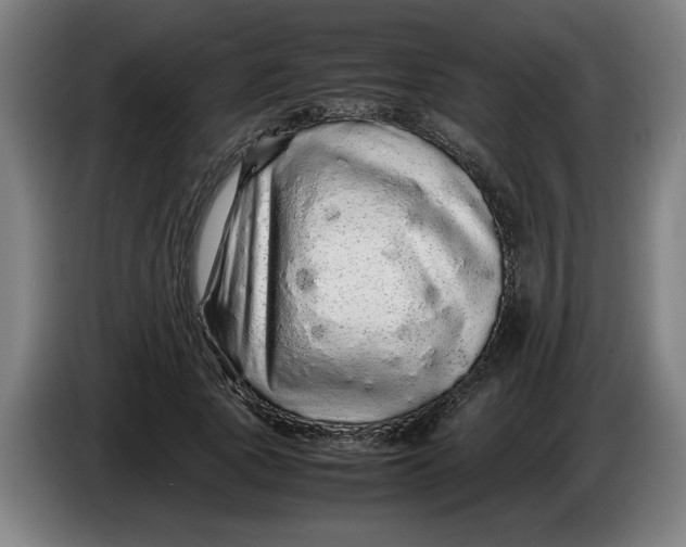 X0000086260737200704191903