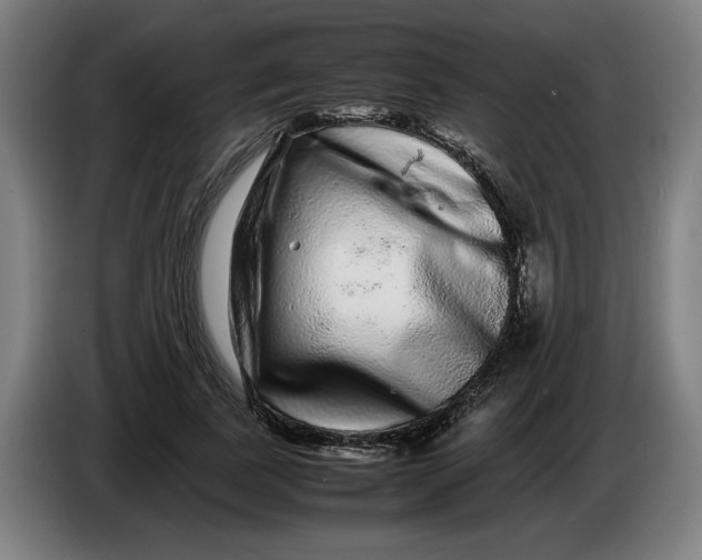 X0000086260739200704191903