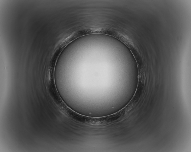 X0000086260740200704191903