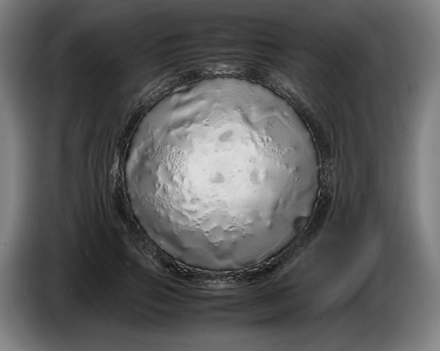 X0000086260741200704191903