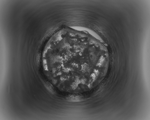 X0000086260742200704191903