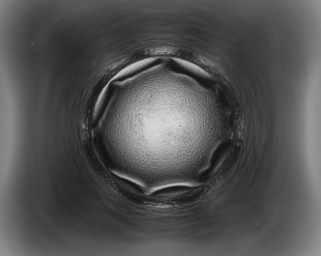 X0000086260743200704191903