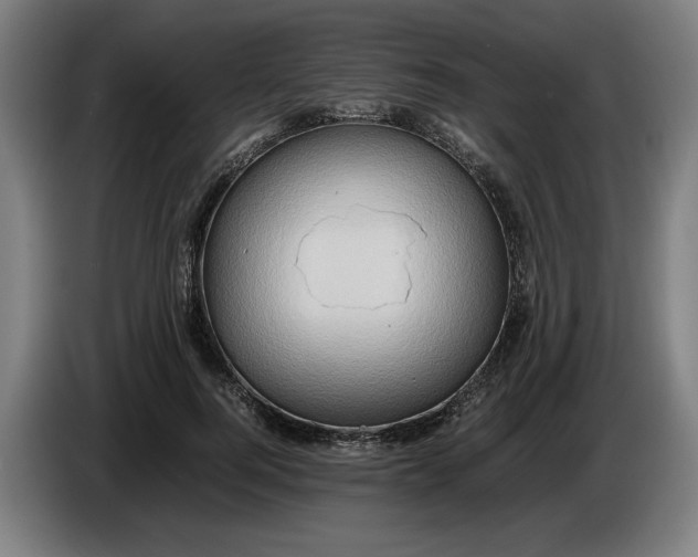 X0000086260744200704191903