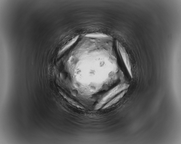 X0000086260745200704191903