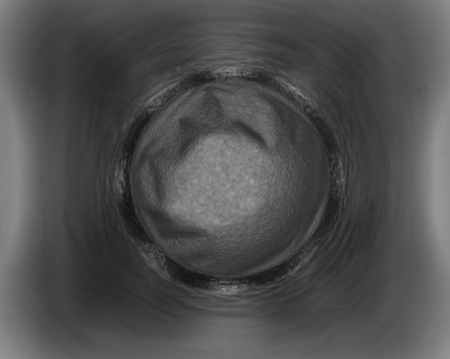 X0000086260746200704191903