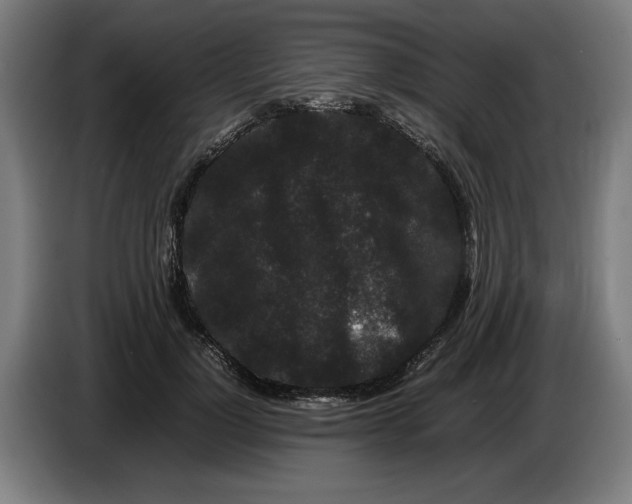 X0000086260748200704191903