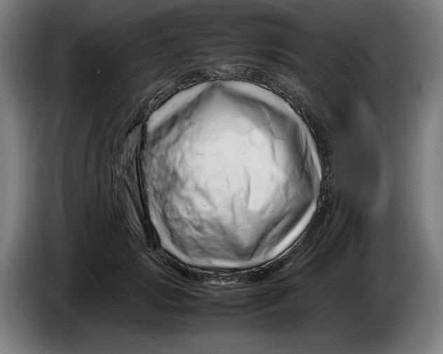 X0000086260749200704191903