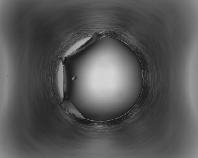 X0000086260750200704191903