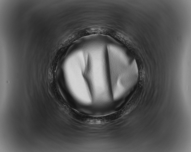 X0000086260751200704191903