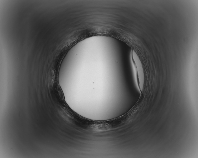 X0000086260752200704191903