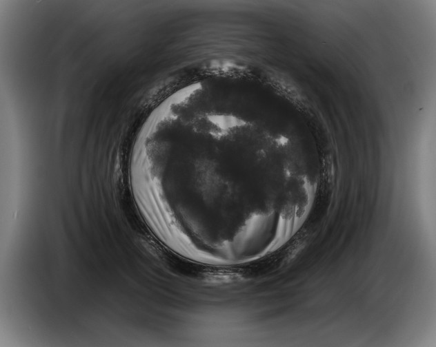 X0000086260754200704191903