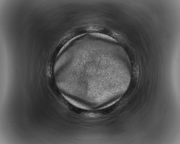 X0000086260755200704191903